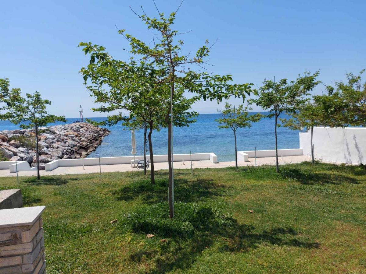 Pansion Alexandros By The Sea Aparthotel Nea Skioni Exterior foto
